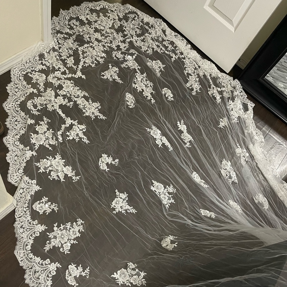 cathedral wedding veil-david's bridal